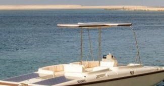 Meet the amazing Ria Formosa’s ecossystem with a professional guide born and raised inside this Natural Park. As a kid