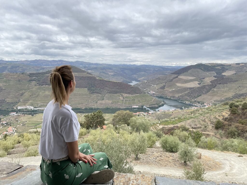 Vale do Douro: Degustação de Vinhos