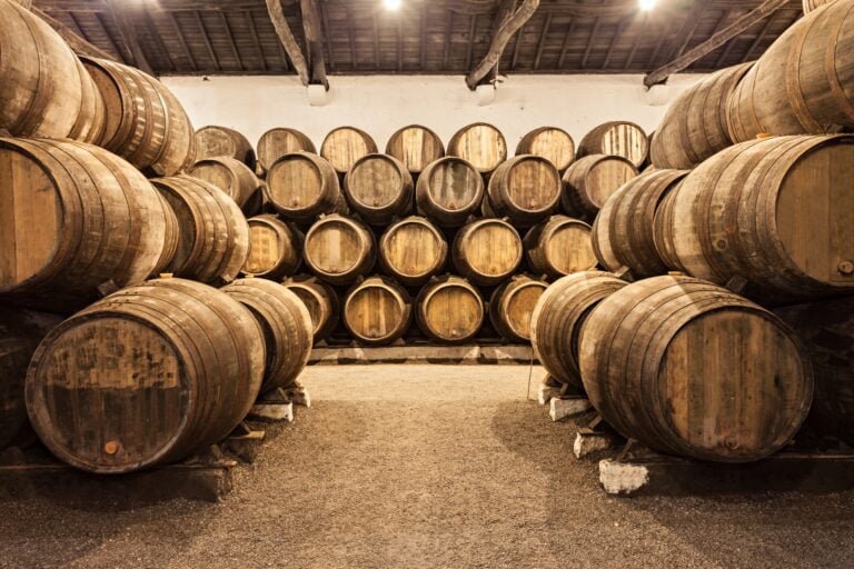 Gray Line 48h + Caves de Vinho