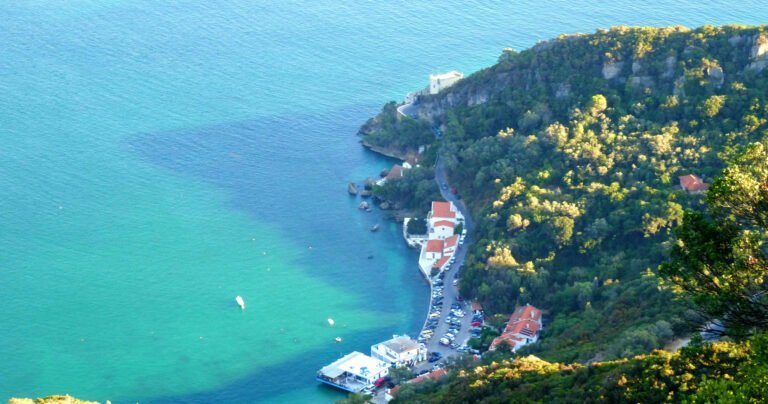 Arrábida Half Day Tour