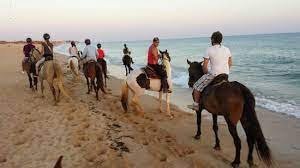 Horse Ride