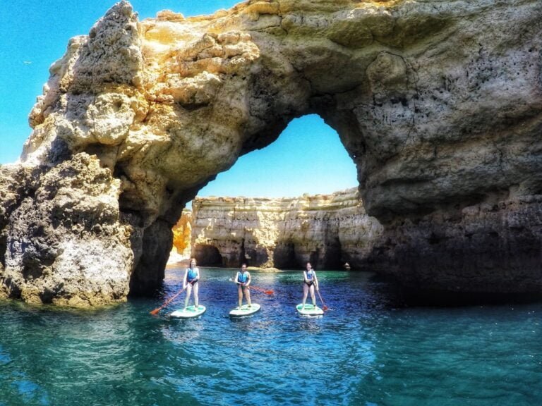 Kayak Tours