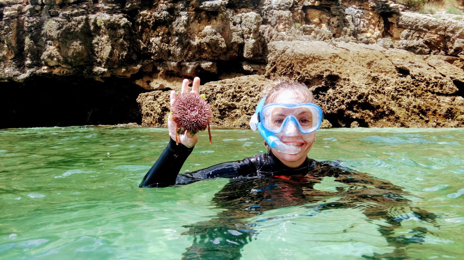 Arrábida Snorkeling Adventure