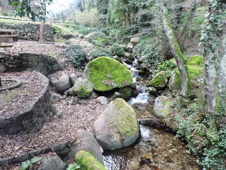 Monchique Forest Hike w/ Medronho Tasting