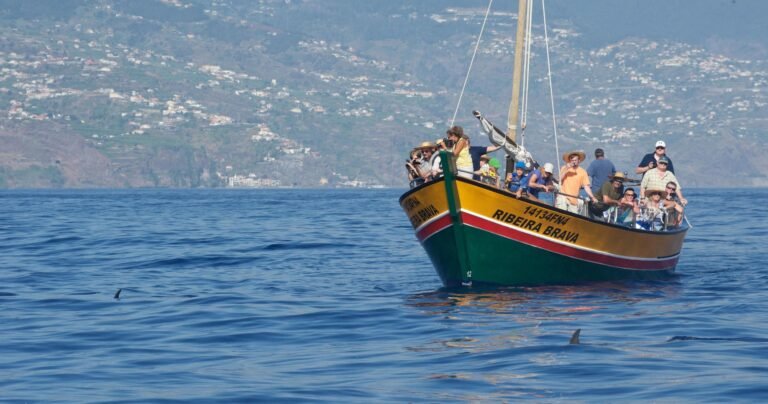 Ribeira Brava - Whale Watching Tour