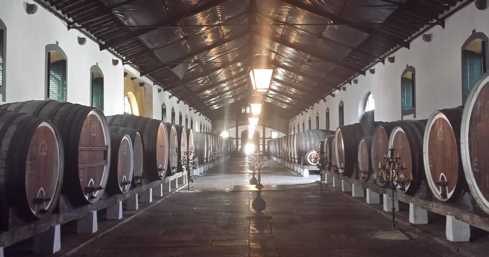 Sintra Wine Experience