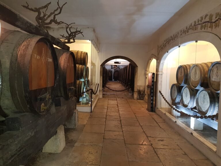 Exclusive Arrábida Wine Experience