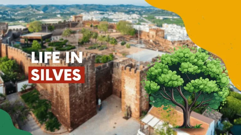 Video cover 'Life in Silves' showing castle walls and a tree