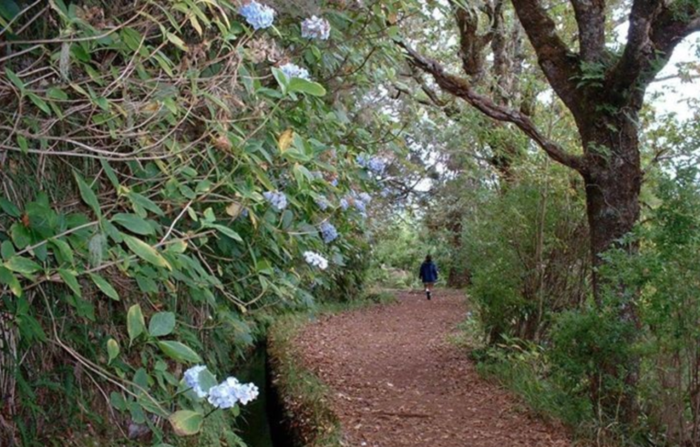Levada - Queimadas/Caldeirão Verde