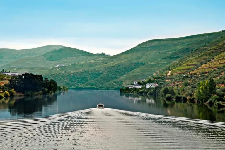 Douro Vinhateiro - 2h Passeio Exclusivo