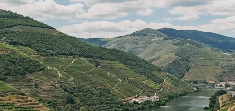 Caminho dos Sobreiros (áudio-guia)