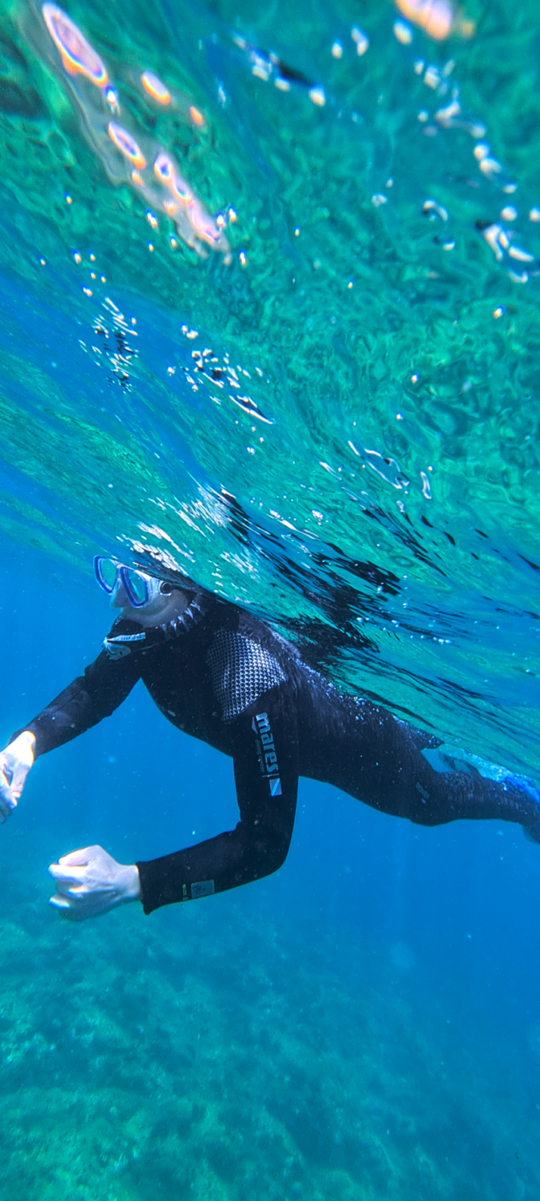 Snorkeling - Sesimbra