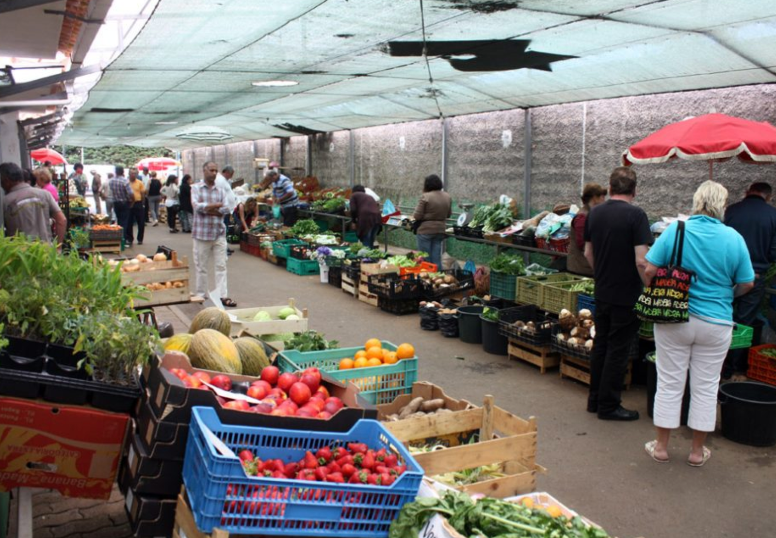 Levada e Mercado