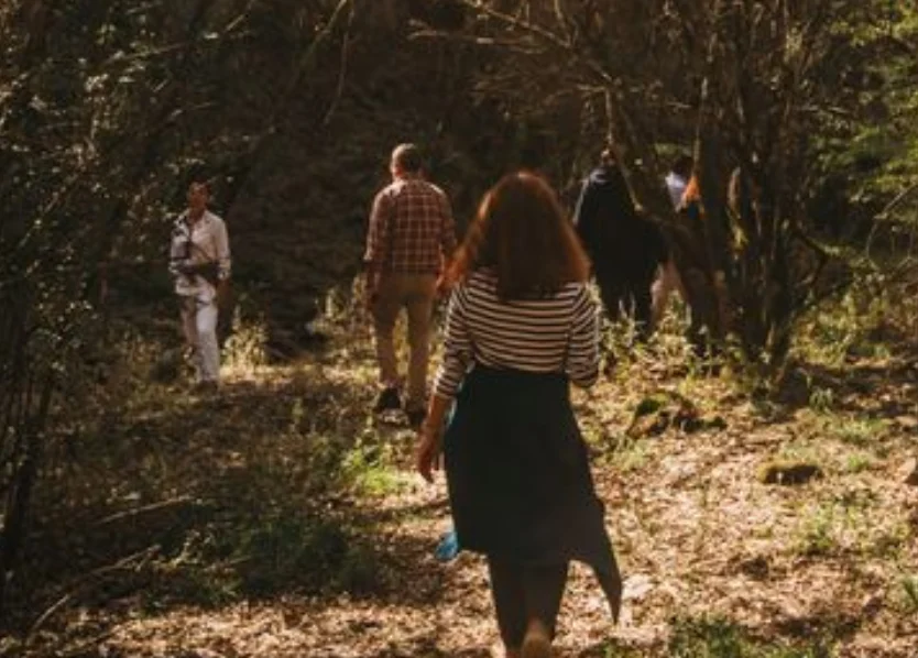 Caminho da Ervedosa (áudio-guia)