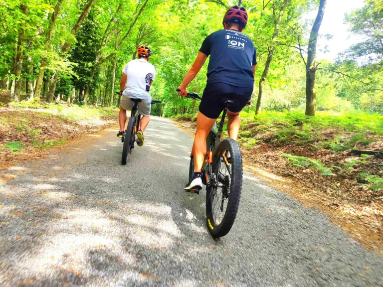 Tour de E-Bike