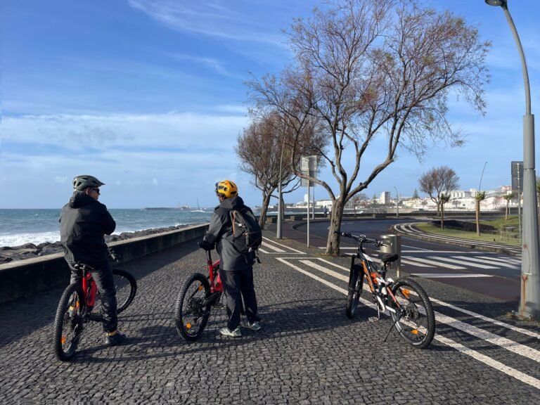 E-bike City Tour