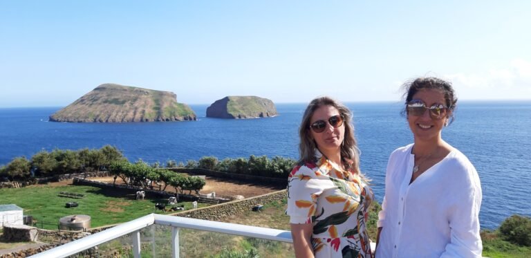 VAN TOUR - Costa Este