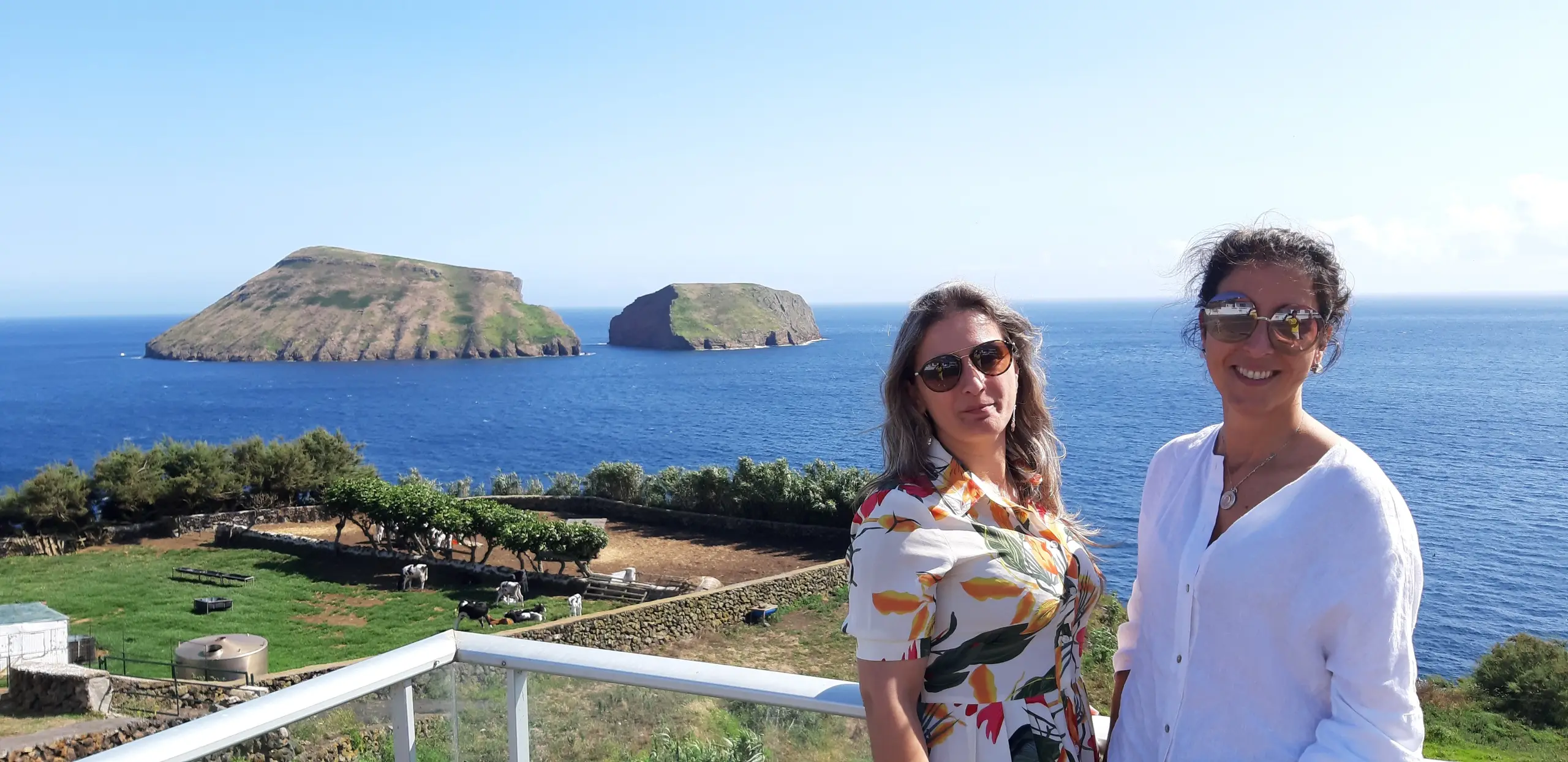 VAN TOUR - Costa Este