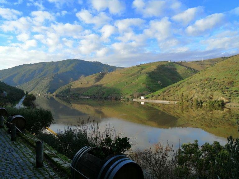 Douro Valley Wine Route Experience