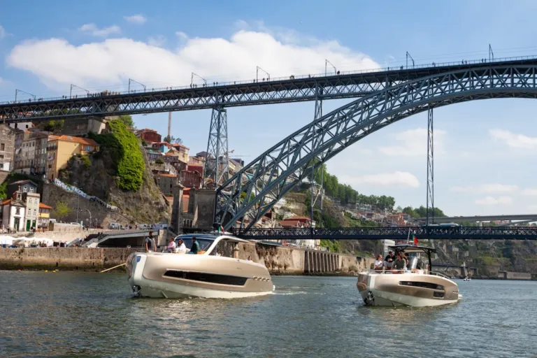 2h Passeio Exclusivo pelo rio Douro - Luxury Boat Tour