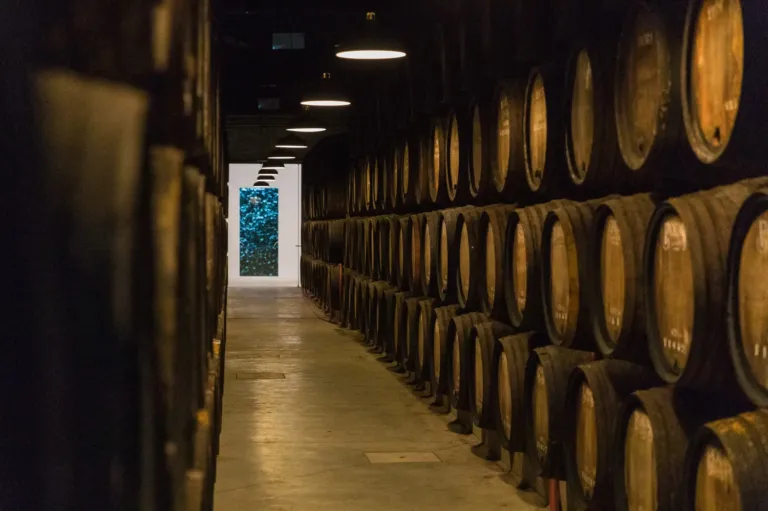 Visita Guiada e Prova de Vinhos nas Caves Poças