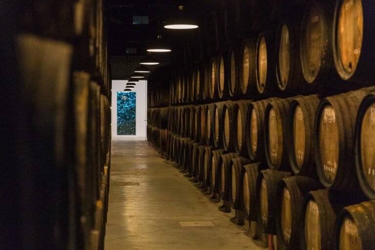 Visita Guiada e Prova de Vinhos nas Caves Poças