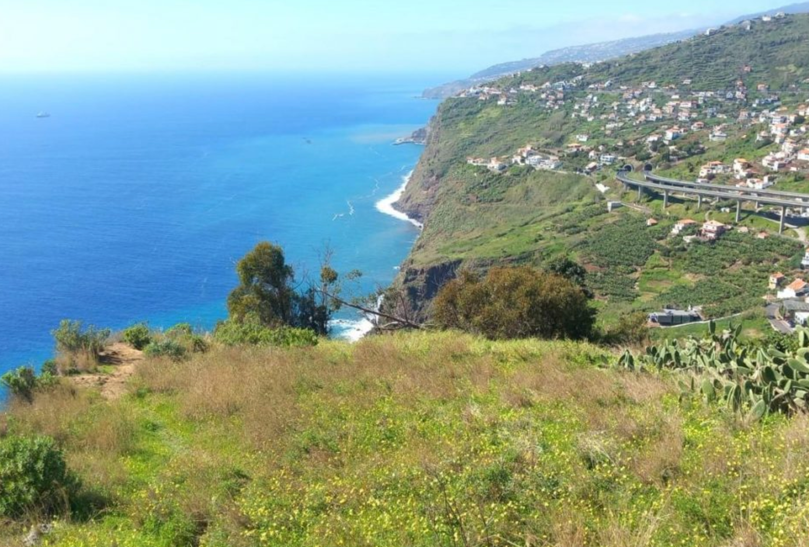 Vereda & Madeira Wine