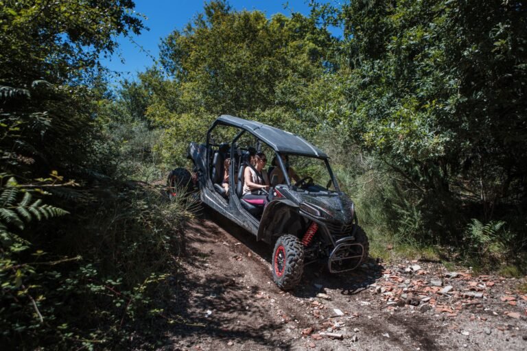 1/2 Day • Buggy • 4h