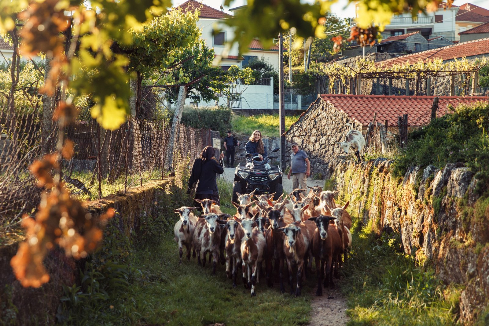 Medieval • Quad • 2h