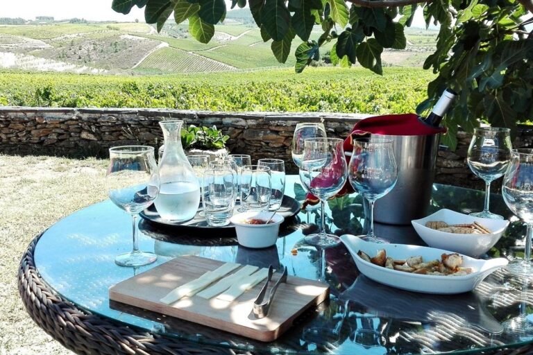 Vale do Douro Tour Privado (Tudo incluído)
