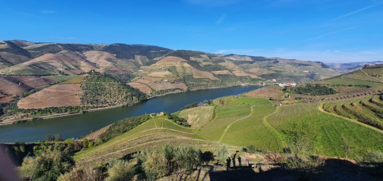 Passeio Privado ao Vale do Douro com Visita