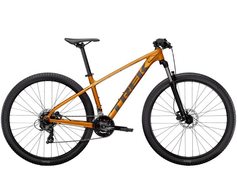 Rent a Bike Full Day From Coimbra