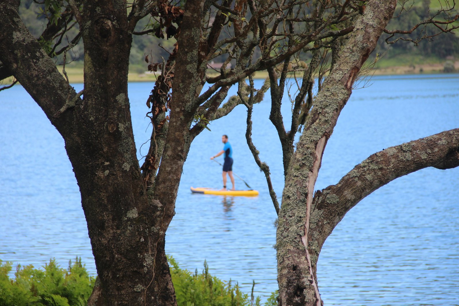 SUP Experience