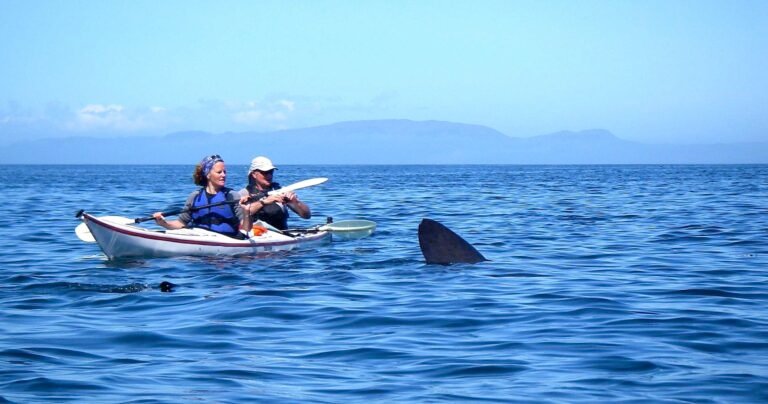Kayaking