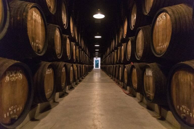 Visita Guiada e Prova de Vinhos nas Caves Poças