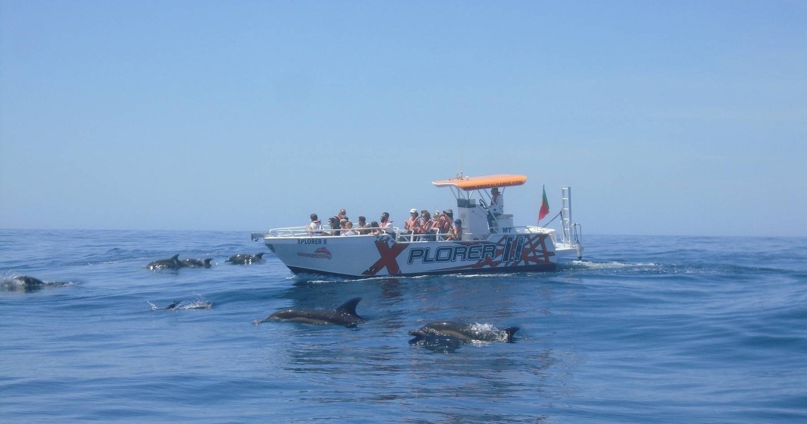 X Plorer – Caves (Benagil) & Dolphins Cruise