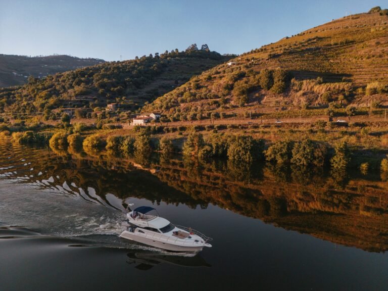 Nabucco Cruise on the Douro River - Discovering Régua