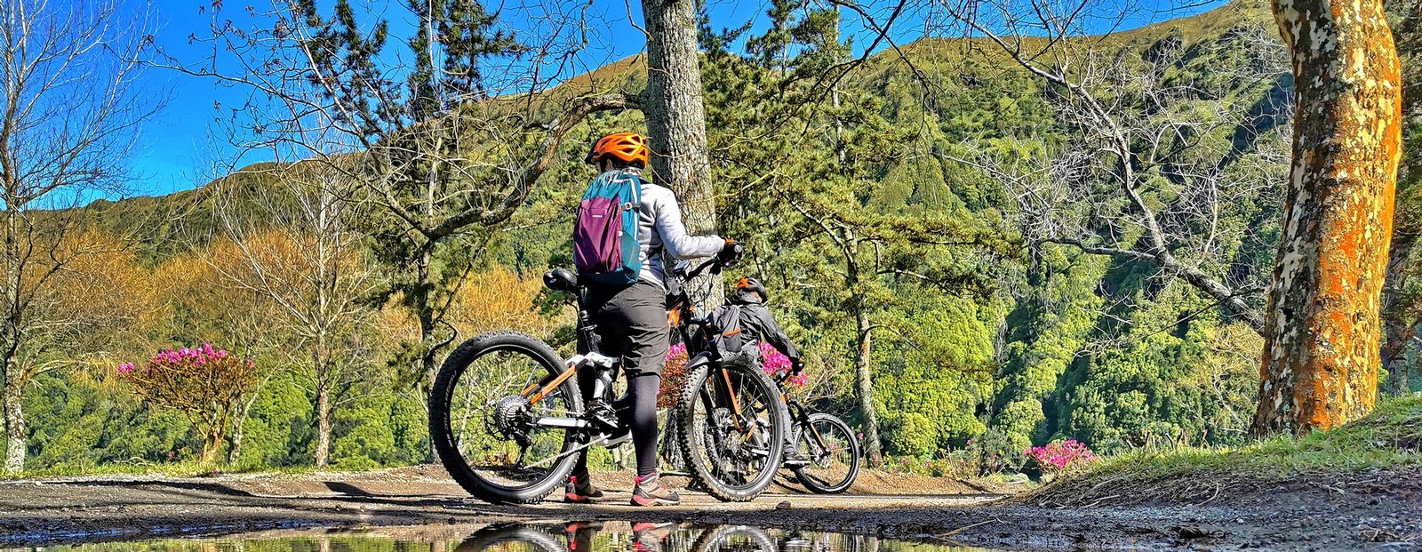 E-bike • Sete Cidades (Half Day)