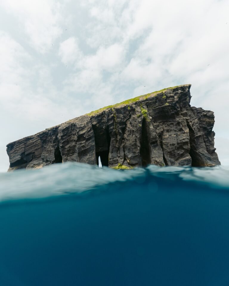 Coastline Tour