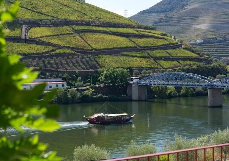 Passeio Privado ao Vale do Douro: 2 Quintas com Provas de Vinho