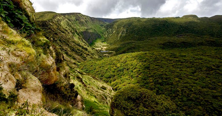Santa Bárbara Downhill