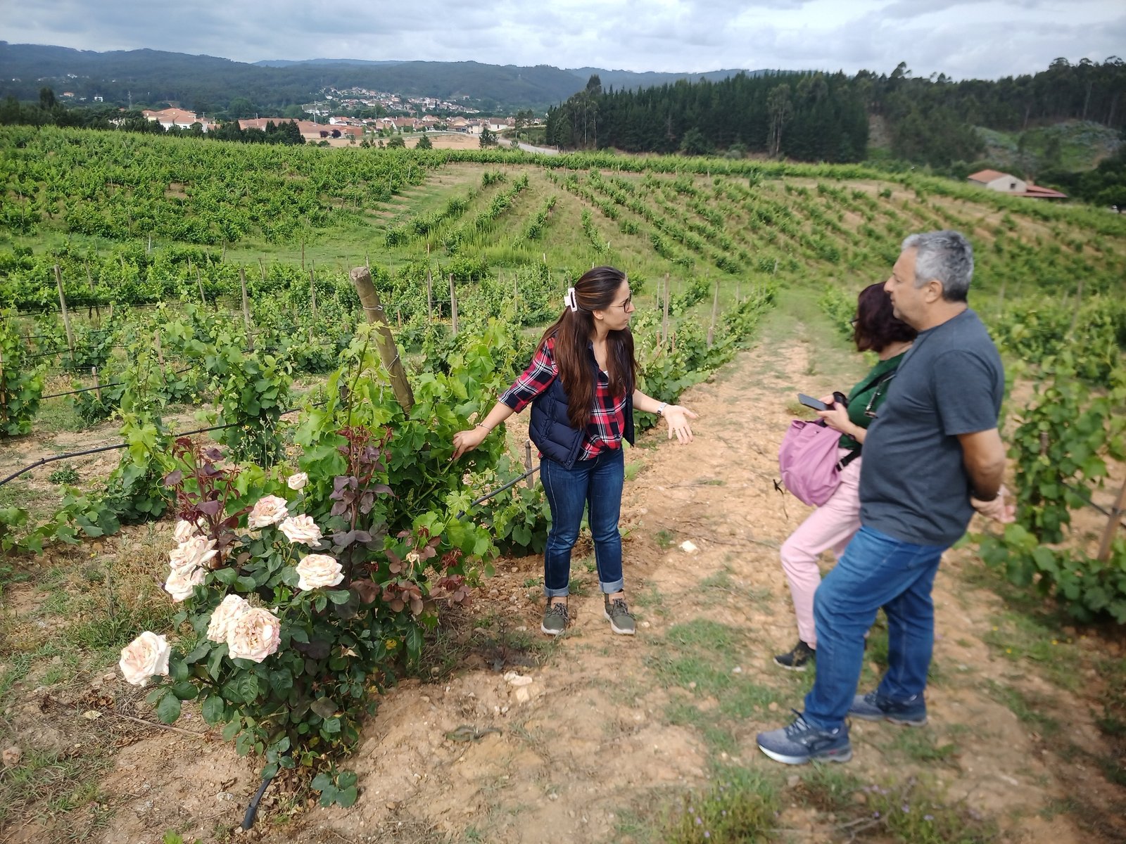 Dão Wine Route