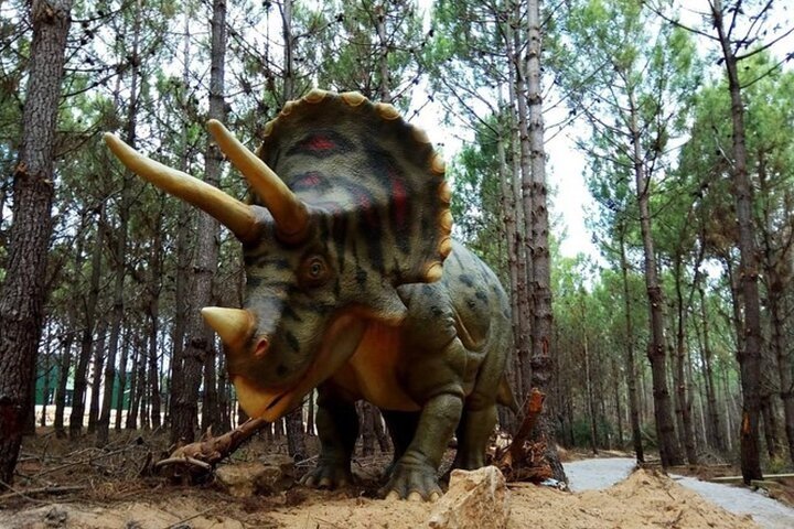 Dinosaurs Park - Family Half day tour
