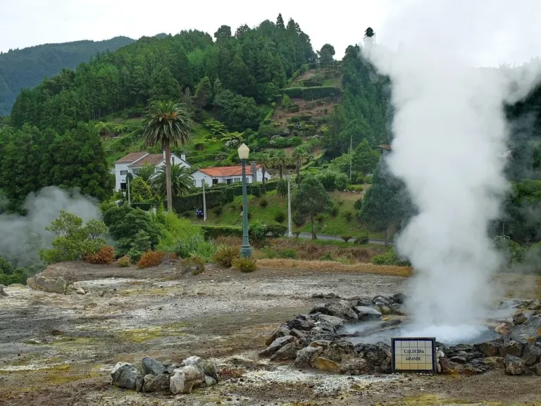 Geyser steaming in front of a hillside garden