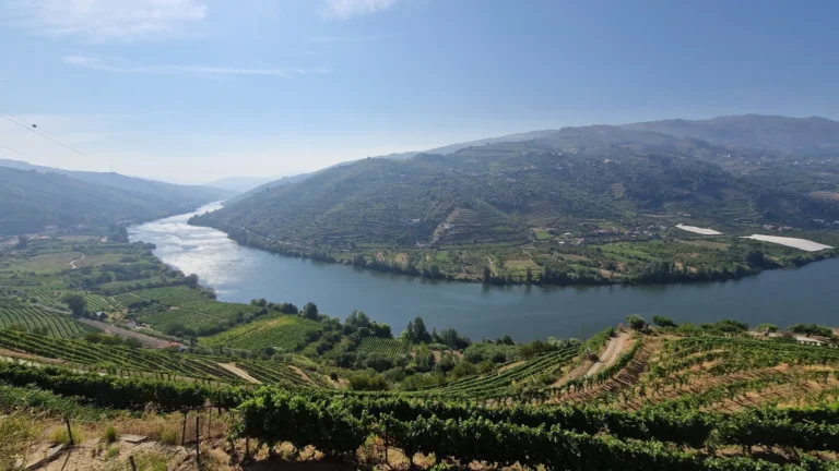 Passeio ao Vale do Douro com Comboio e Vinho Verde