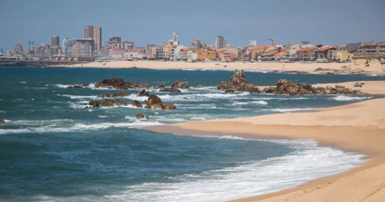 Porto Full Day Bike Tour - 45 KM