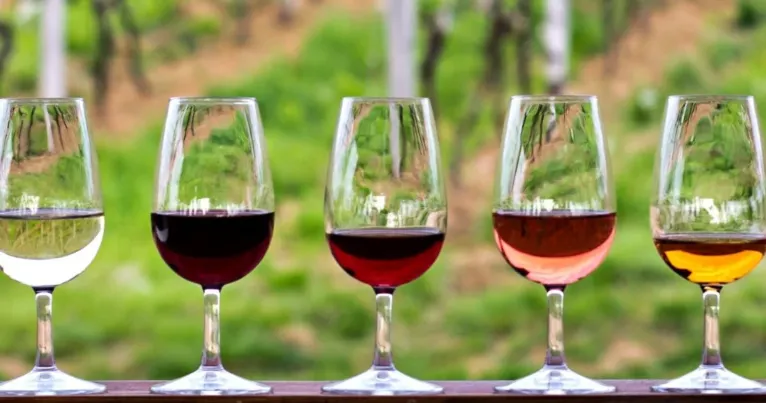 Row of five wine glasses from white to amber in front of a vineyard