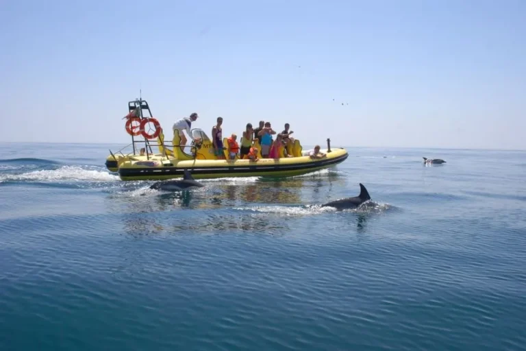 Insonia - Caves & Dolphin Watching