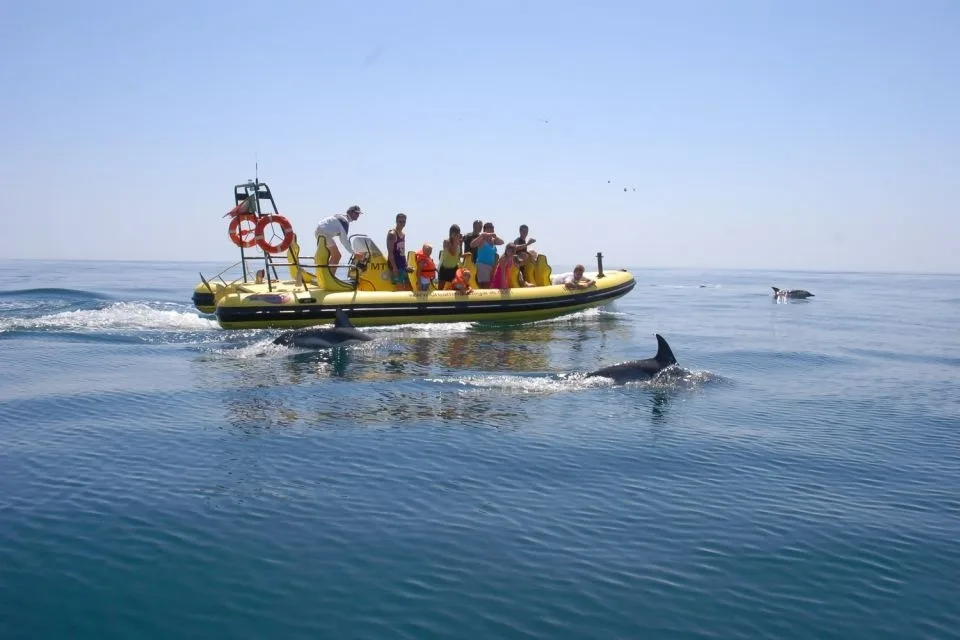 Insonia - Caves & Dolphin Watching