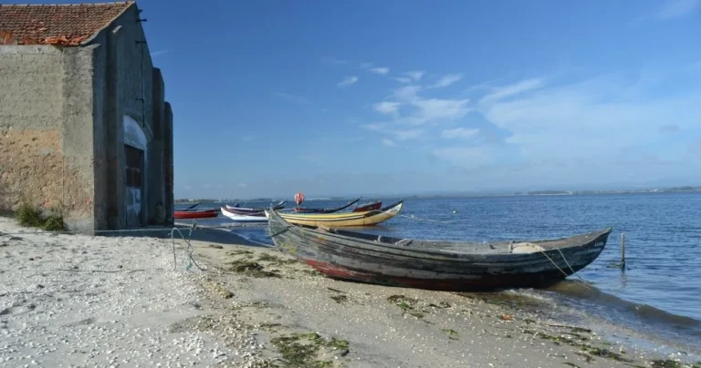 Aveiro Private Tour From Porto